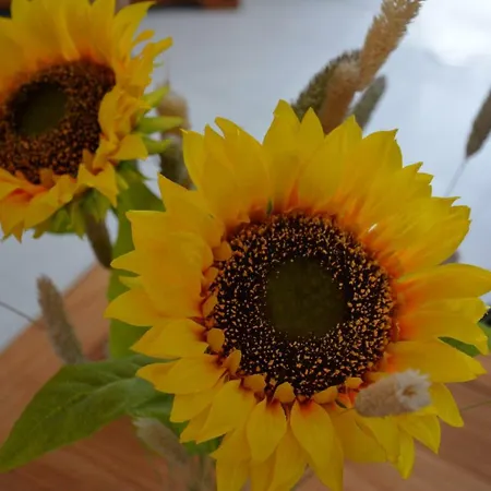 Tabaibita Апартаменты Орсола