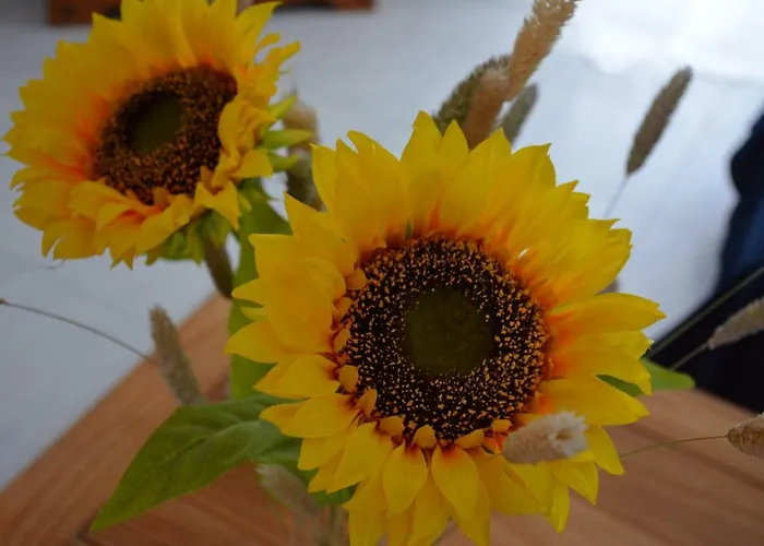 Tabaibita Апартаменты Орсола