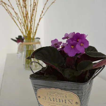 Apartmán Tabaibita Orzola