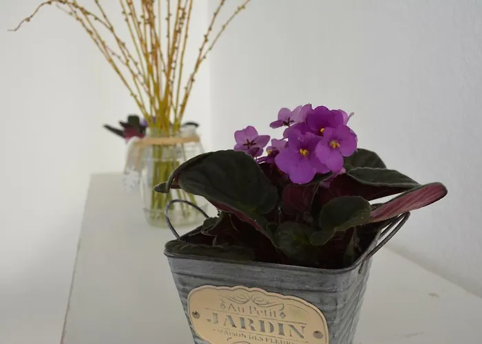 דירה Tabaibita אורסולה