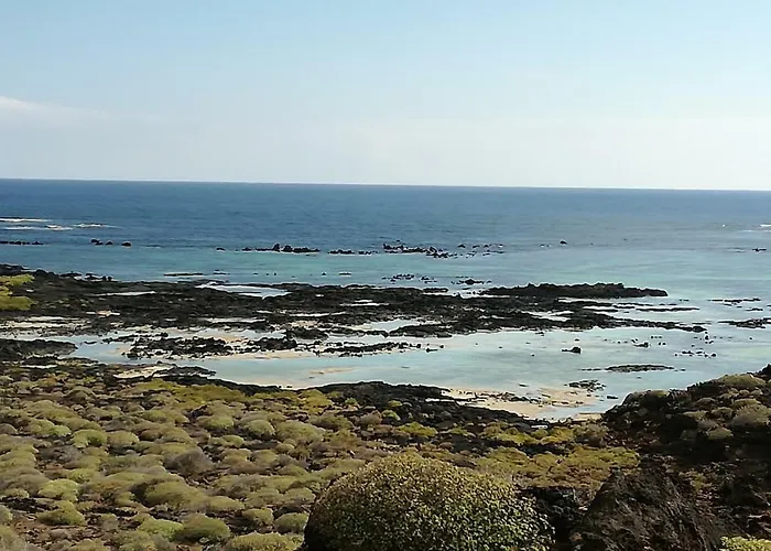 Tabaibita אורסולה