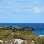 Tabaibita